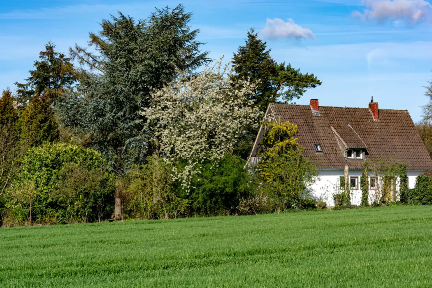 Weiß verputztes Einfamilienhaus mit Satteldach hinter blühenden Bäumen am Feldrand (Tangstedt, Kreis Stormarn)